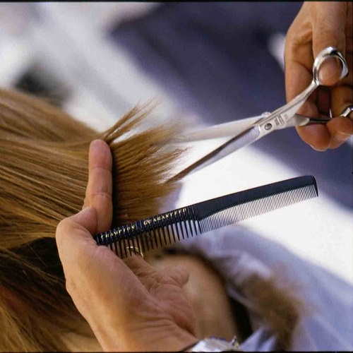 Hair Cutting & Styling
